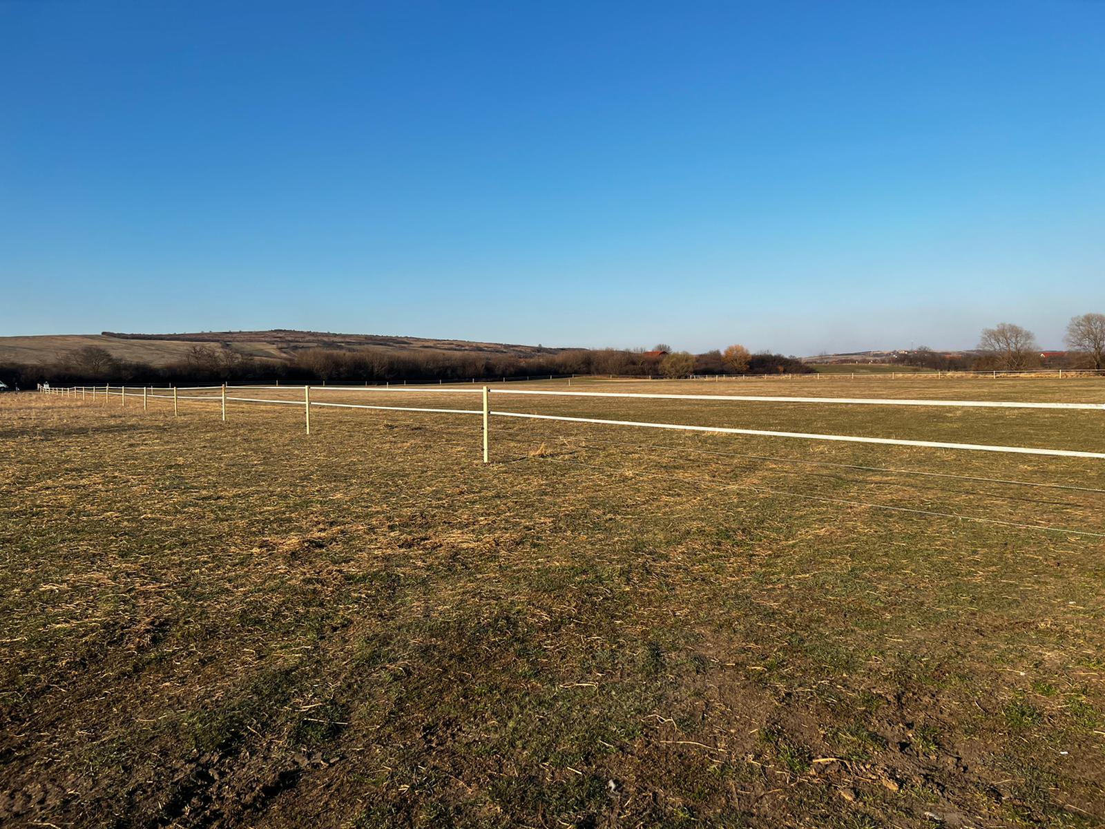 stalp din lemn gard electric stalp din lemn gard electric